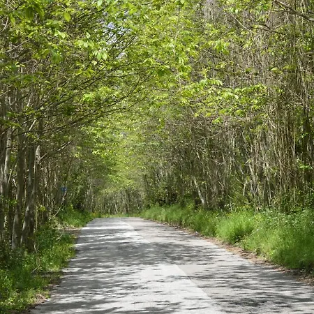 Don Peppe - Don Ilario 3* San Mauro Cilento