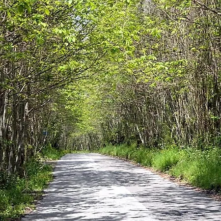 Don Peppe - Don Ilario Bed and breakfast San Mauro Cilento